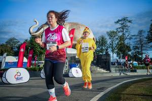 BIB: 
                            <button type="button" onclick="openModal(26541732)" class="btn btn-primary btn-sm float-right btn-popup" data-toggle="modal" data-target=".modal-high-quality">
                        <i class="fas fa-shopping-cart"></i> Add to Cart
                    </button>
                                            <button type="button" onclick="isThisMe(26541732, true)" class="btn btn-success btn-sm float-right btn-popup btn-isme hidden" data-toggle="tooltip" data-placement="bottom" title="นี่คือรูปของคุณใช่ไหม คลิกที่นี่เพื่อเอาเข้าอัลบั้ม">
                        <i class="fas fa-plus"></i> Add to album
                    </button>
                    <button type="button" onclick="isThisMe(26541732, false)" class="btn btn-warning btn-sm float-right btn-popup btn-isnotme hidden">
                        <i class="fas fa-ban"></i> Remove from album
                    </button>